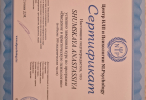 Диплом или сертификат