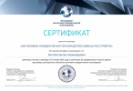 Диплом или сертификат