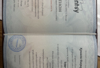 Диплом или сертификат