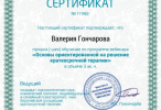 Диплом или сертификат