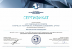 Диплом или сертификат
