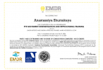 Диплом или сертификат
