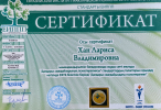 Диплом или сертификат