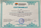 Диплом или сертификат